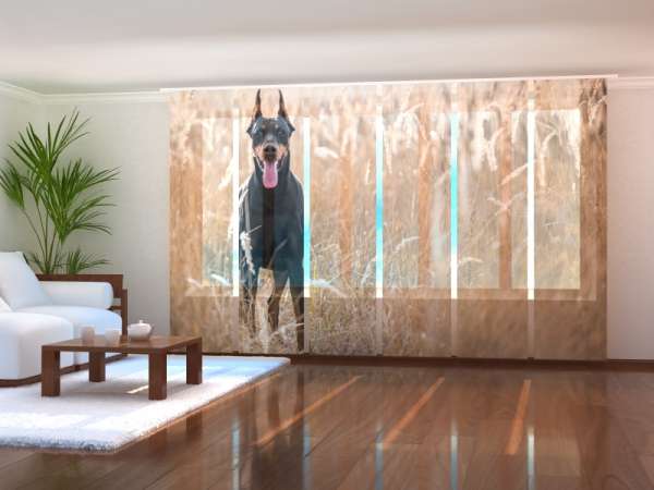 Rideau coulissant (1-6 pcs.) : DOBERMAN DANS UN CHAMP DE BLÉ