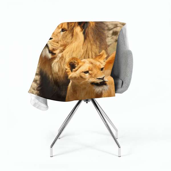 Couverture polaire : LIONS